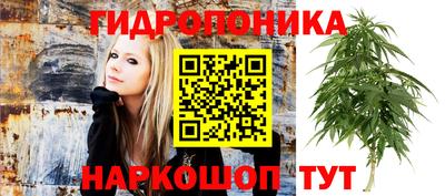 дмт Партизанск