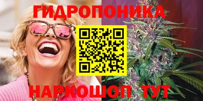 дмт Партизанск