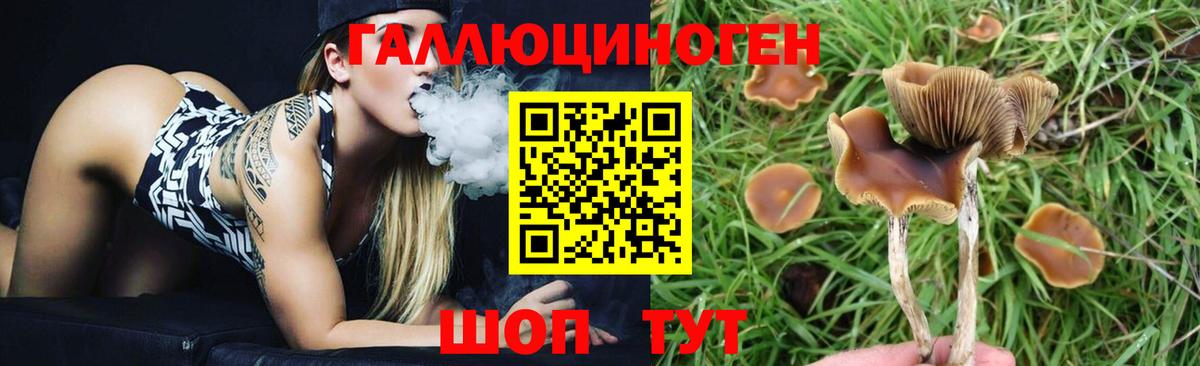 Псилоцибиновые грибы мицелий Тула